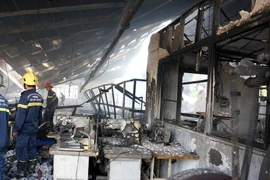 (Ảnh minh họa. Tuấn Anh/TTXVN phát)