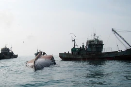 Ảnh minh họa. (Nguồn: AFP/TTXVN)