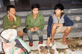Các đối tượng đặt bẫy bắt động vật hoang dã với số lượng lớn ở Vườn Quốc gia Phong Nha-Kẻ Bàng bị bắt cùng tang vật. (Ảnh: Mạnh Thành/TTXVN)