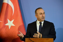 Ông Mevlut Cavusoglu. (Nguồn: AFP/TTXVN)