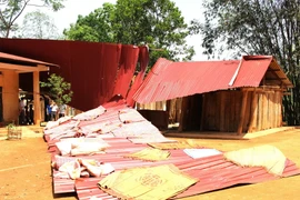 (Ảnh minh họa. Kim Tiến/TTXVN)