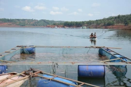 (Ảnh minh họa. Ngọc Minh/TTXVN)