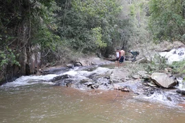 (Ảnh: Nguyễn Dũng/TTXVN)