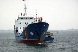 (Ảnh minh họa. Đăng Lâm/TTXVN)