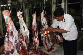 Kiểm tra an toàn vệ sinh thực phẩm tại một cơ sở giết mổ gia súc ở ấp Suối Cao A, xã Thạnh Đức, huyện Gò Dầu, Tây Ninh. (Ảnh: Lê Đức Hoảnh/TTXVN)