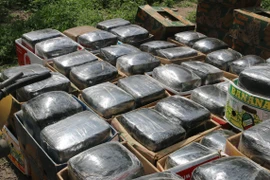 Ảnh minh họa. (Nguồn: THX/TTXVN)