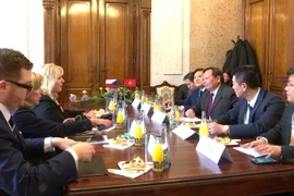 (Ảnh: Hồng Tâm/Vietnam+)