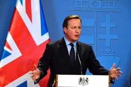 Thủ tướng Anh David Cameron. (Nguồn: AFP/TTXVN)