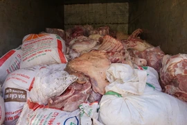 (Ảnh minh họa. Chí Tưởng/TTXVN)