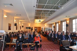 (Ảnh: Bích Hà/Vietnam+)