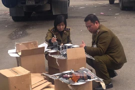 (Ảnh minh họa. Đức Duy/TTXVN)