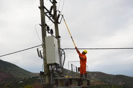 (Ảnh minh họa. Công Luật/TTXVN)