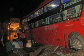 (Ảnh minh họa. Nguyễn Dũng/TTXVN)