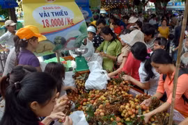 (Ảnh minh họa. Mạnh Linh/TTXVN)