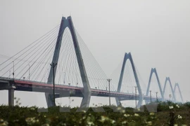 Cầu Nhật Tân nhìn từ phía huyện Đông Anh. (Ảnh: Trọng Đạt/TTXVN)