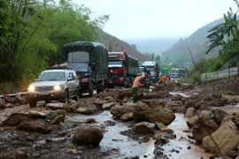 (Ảnh minh họa. Ngọc Hà/TTXVN)