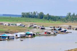 (Ảnh: Công Phong/TTXVN)