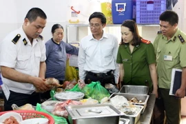 (Ảnh minh họa. Dương Ngọc/TTXVN)