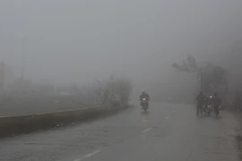 (Ảnh minh họa. Công Luật/TTXVN)