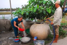 (Ảnh minh họa. Mạnh Linh/TTXVN)