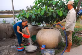 (Ảnh minh họa. Mạnh Linh/TTXVN)