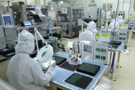 (Ảnh minh họa. Thanh Vũ/TTXVN)