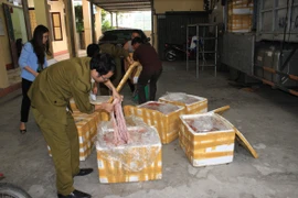 (Ảnh minh họa. Đức Phương/TTXVN)