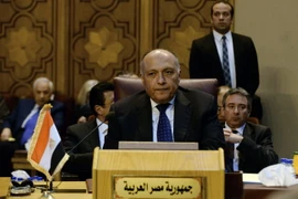 Ngoại trưởng Ai Cập Sameh Shoukry. (Nguồn: THX/TTXVN)