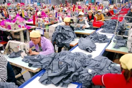 (Ảnh minh họa. Danh Lam/TTXVN)