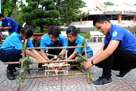 (Ảnh minh họa. Anh Hiếu/TTXVN)