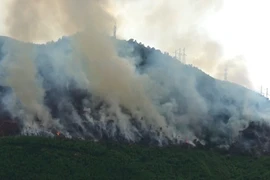 Ảnh chỉ có tính chất minh họa. (Nguồn: Hùng Võ/Vietnam+) 