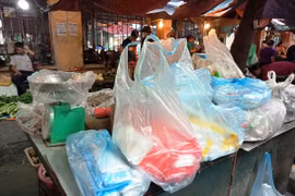 Túi nilon đã trở thành thói quen tiêu dùng hàng ngày của mọi gia đình. (Ảnh: Hùng Võ/Vietnam+)
