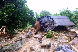 Ảnh minh hoa. (Nguồn: TTXVN)