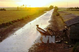 Ảnh chỉ có tính chất minh họa. (Nguồn: TTXVN) 