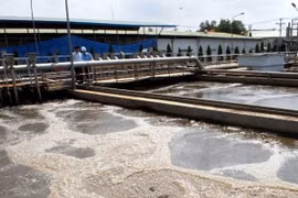 Ảnh chỉ có tính chất minh họa. (Nguồn: TTXVN) 