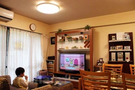 Ảnh chỉ có tính chất minh hoa. (Nguồn: Vietnam+) 