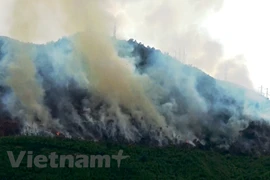 Ảnh chỉ có tính chất minh họa. (Nguồn: Hùng Võ/Vietnam+) 