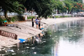 Ảnh minh họa. (Nguồn: TTXVN) 