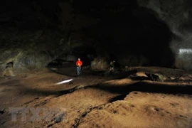 Ảnh chỉ có tính minh họa. (Nguồn: TTXVN) 