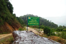 Ảnh chỉ có tính chất minh hoa. (Nguồn: Hùng Võ/Vietnam+) 