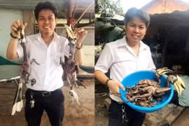Tài khoản facebook Tuan Kiet khoe ảnh một số con chim quý bị giết thịt khiến cư dân mạng phẫn nộ. (Ảnh facbook cá nhân)