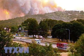 Ảnh chỉ có tính chất minh họa. (Nguồn: EFE/TTXVN)