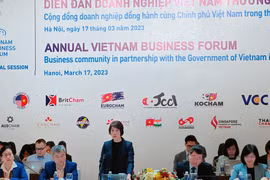 Thứ trưởng Bộ Kế hoạch và Đầu tư Nguyễn Thị Bích Ngọc. (Ảnh: PV/Vietnam+)