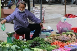 CPI trong tháng Hai đã tăng 4,31% so với cùng kỳ năm trước. (Ảnh: Vietnam+)