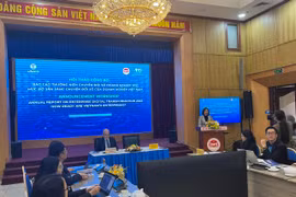 Phần nhiều các doanh nghiệp chưa xác định được mục tiêu và chiến lược chuyển đổi số đúng đắn. (Ảnh: Vietnam+)