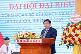 Bộ trưởng Bộ Kế hoạch và Đầu tư Nguyễn Chí Dũng tham dự và phát biểu tại Đại hội. (Ảnh: PV/Vietnam+)