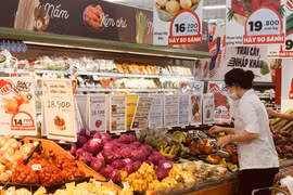 Bộ Tài chính đang lấy ý kiến về việc giảm thuế giá trị gia tăng 6 tháng đầu năm 2024. (Ảnh: Vietnam+)