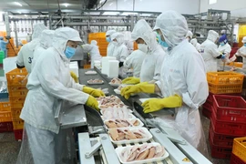 Bộ Tài chính đề xuất cho doanh nghiệp, hộ gia đình, cá nhân đang được Nhà nước cho thuê đất trực tiếp, sẽ được giảm 30% tiền thuê đất, mặt nước phải nộp của năm 2023 (Ảnh: TTXVN)