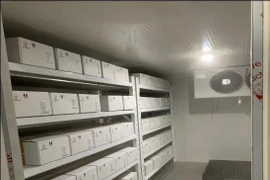 Vaccine được bảo quản trong kho lạnh tại Viện Vệ sinh Dịch tễ Trung ương. (Nguồn: Bộ Y tế)