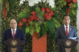 Chủ tịch nước Nguyễn Xuân Phúc và Tổng thống Indonesia Joko Widodo gặp gỡ báo chí. (Ảnh: Thống Nhất/TTXVN)